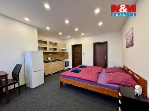 Pronájem bytu 3+1, Příseka, 143 m2