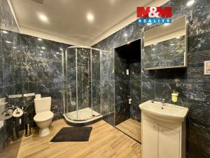 Pronájem bytu 2+kk, Příseka, 36 m2