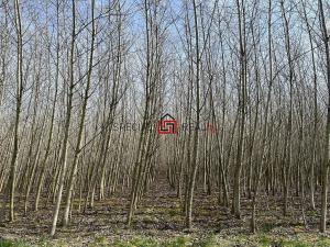 Prodej pole, Doubrava, 59227 m2