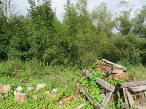 Dražba zahrady, Šemnice, 472 m2