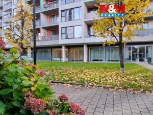 Pronájem kanceláře, Praha, Jankovcova, 58 m2