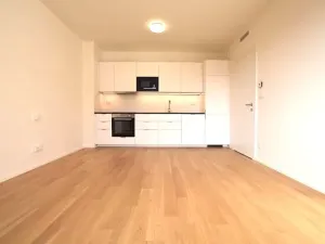 Pronájem bytu 1+kk, Praha - Lysolaje, Lysolajské údolí, 30 m2