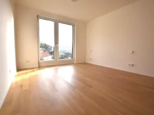 Pronájem bytu 1+kk, Praha - Lysolaje, Lysolajské údolí, 30 m2