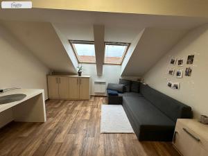 Prodej bytu 1+kk, Brno - Černovice, Olomoucká, 20 m2