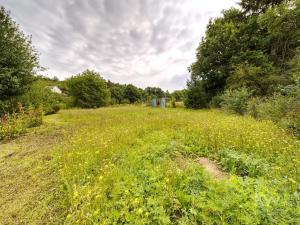 Prodej chalupy, Plasy, 174 m2