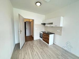 Pronájem bytu 1+kk, Škvorec, 24 m2