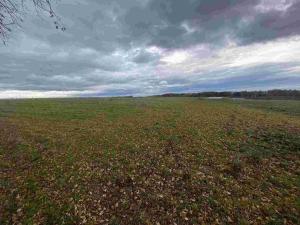 Prodej komerčního pozemku, Strážkovice, 4604 m2