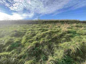 Prodej pozemku, Svijany, 4905 m2