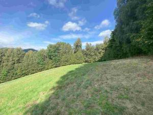 Prodej pozemku, Sobotín, 10593 m2