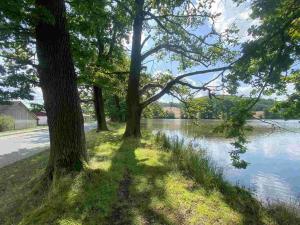 Prodej pozemku, Chocomyšl, 59407 m2