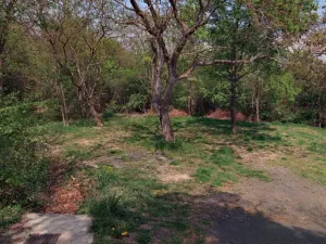 Pronájem zahrady, Horní Beřkovice, 550 m2