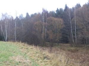 Prodej pozemku, Vyšší Brod, 919 m2