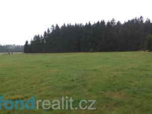 Prodej pozemku, Nová Bystřice, 10628 m2