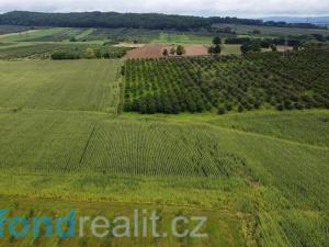 Prodej pole, Malovice - Krtely, 4926 m2