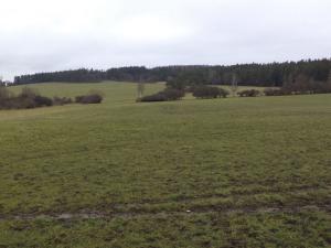 Prodej komerčního pozemku, Srby, 2298 m2