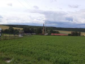 Prodej pozemku, Kožlany, 2631 m2