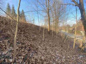 Prodej zahrady, Horní Stropnice, 2062 m2