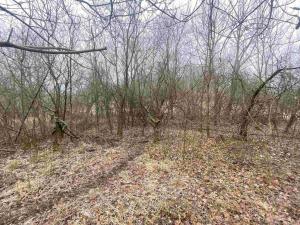 Prodej pozemku, Třebenice - Medvědice, 4154 m2