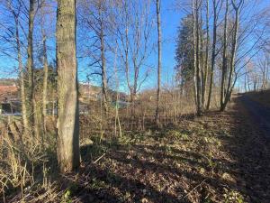 Prodej pozemku, Nová Bystřice, 3407 m2