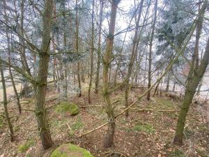 Prodej pole, Slatina, 11302 m2