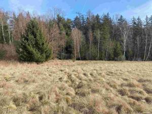 Prodej pole, Františkovy Lázně, 15408 m2