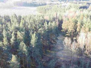 Prodej pole, Kočov - Klíčov, 3847 m2