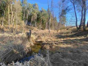 Prodej pole, Rozvadov - Svatá Kateřina, 60693 m2