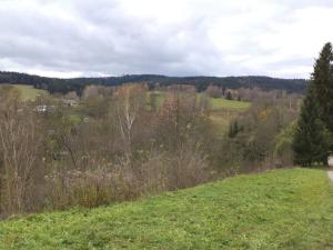 Prodej pozemku, Aš, 1691 m2