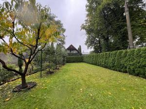 Prodej bytu 6+kk a větší, Bohumín, 435 m2