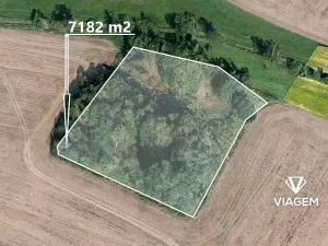 Prodej lesa, Jindřichův Hradec, 7182 m2