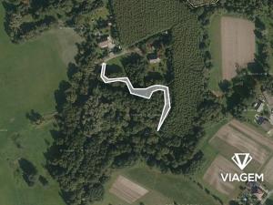 Prodej lesa, Petrovice u Karviné, 566 m2