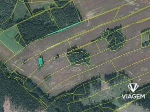 Prodej lesa, Věchnov, 415 m2