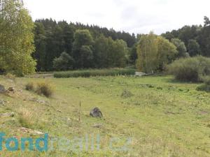 Prodej pole, Tachov, 55727 m2