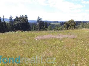 Prodej pole, Přídolí - Všeměry, 13471 m2