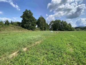 Prodej pole, Lhenice - Hrbov, 55481 m2