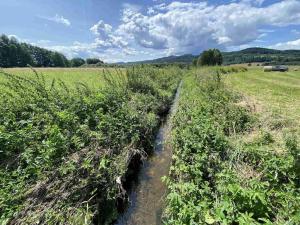 Prodej pole, Lhenice - Hrbov, 55481 m2