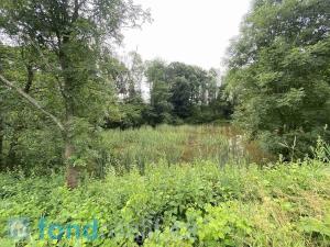 Prodej pozemku, Prusinovice, 3950 m2