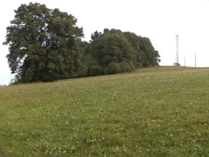 Dražba louky, Rajnochovice, 13124 m2