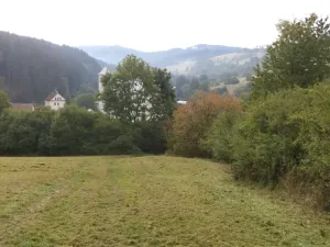 Dražba louky, Rajnochovice, 13124 m2