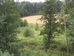 Dražba louky, Bohuslavice, 8942 m2