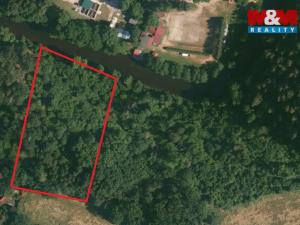 Prodej lesa, Římov - Branišovice, 6543 m2