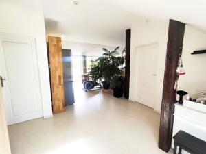 Pronájem bytu 2+kk, Ostrava, Daliborova, 80 m2