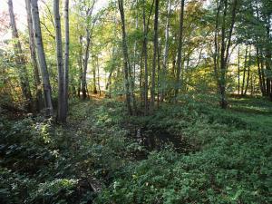 Prodej rodinného domu, Říčany, 192 m2