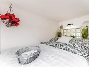 Pronájem bytu 1+kk, Albrechtice nad Orlicí, 1. máje, 28 m2