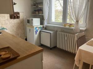 Prodej bytu 2+1, Ostrov, Kollárova, 50 m2