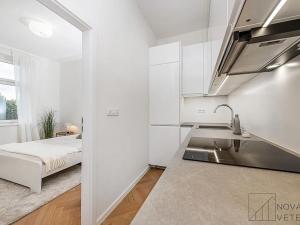 Prodej bytu 2+kk, Praha - Žižkov, Přemyslovská, 46 m2