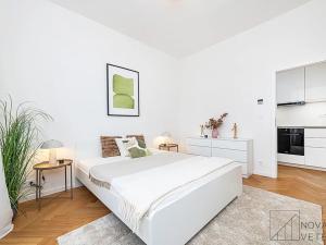 Prodej bytu 2+kk, Praha - Žižkov, Přemyslovská, 46 m2