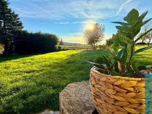 Prodej chaty, Kostelany, 48 m2