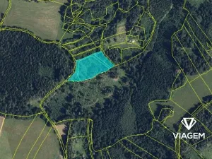 Prodej zahrady, Zborov, 8607 m2