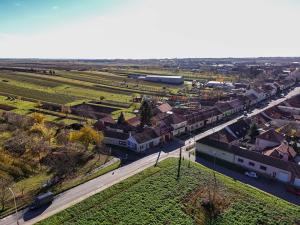 Prodej rodinného domu, Velké Bílovice, Čejkovská, 150 m2